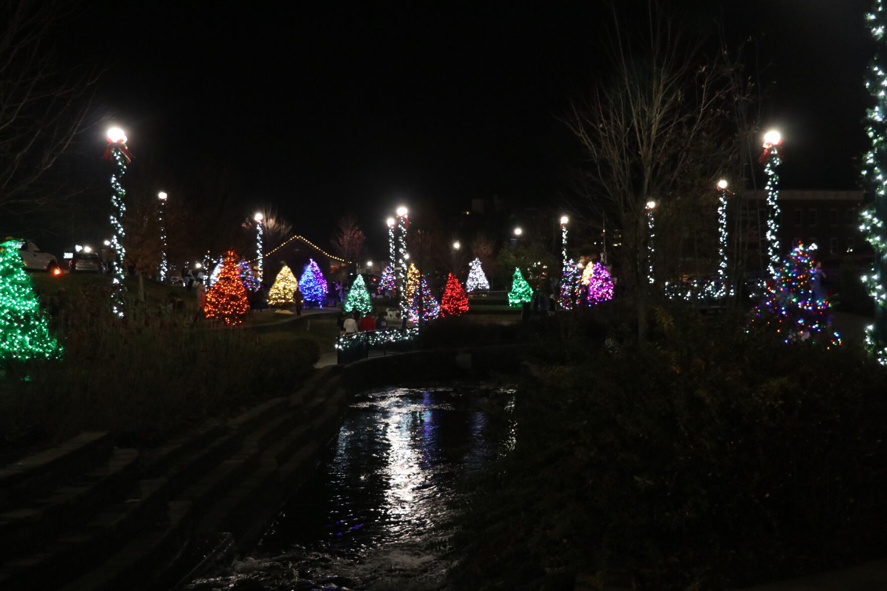 Christmas in the Park